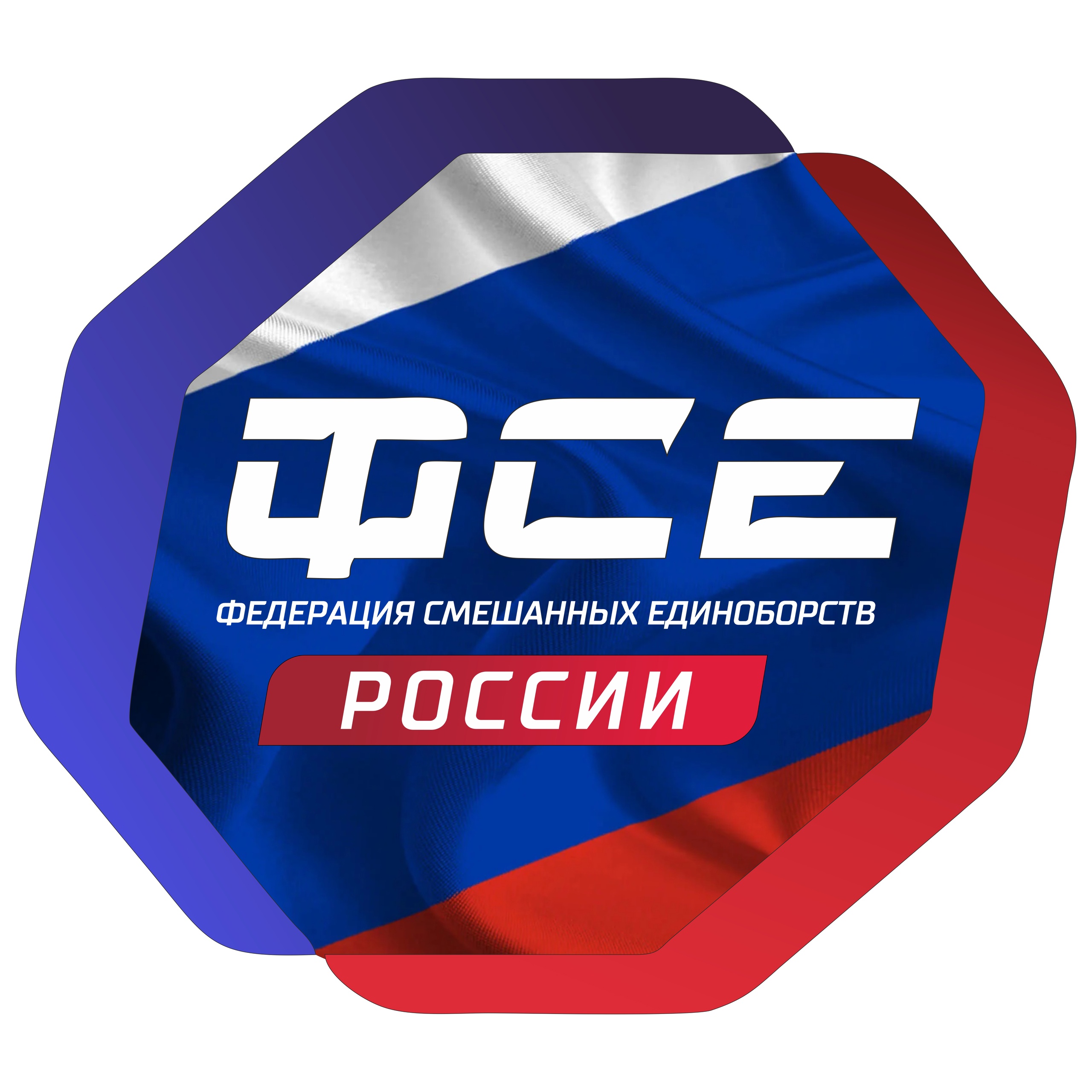 Федерация Cмешанных Единоборств России Image